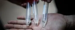 Argentina reporta más de 124 mil casos de dengue