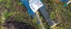 Denuncian asesinato de un firmante de paz en Colombia