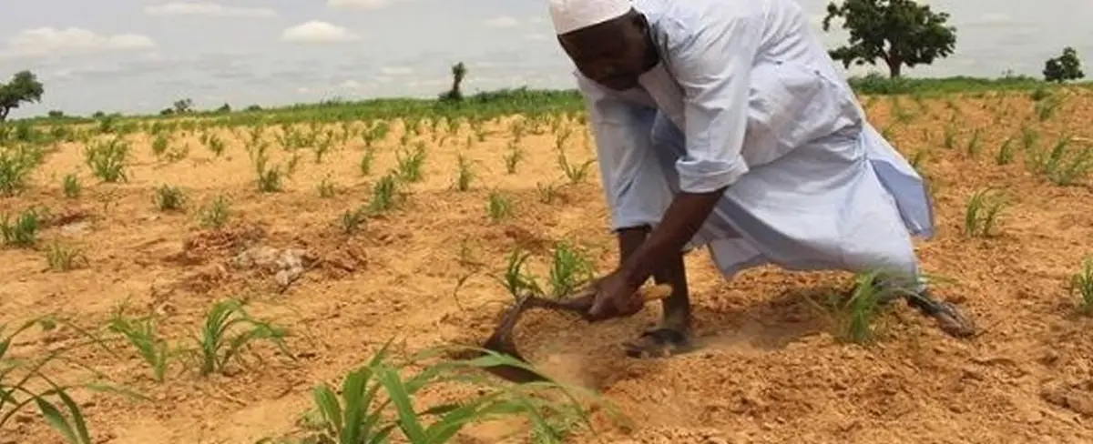 Decretan estado de emergencia en Nigeria por seguridad alimentaria