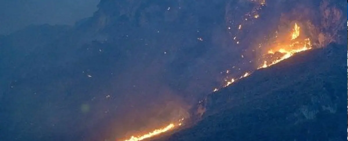 Encuentran cinco fallecidos en Sicilia, Italia, por grandes incendios