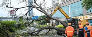 Tifón Doksuri deja severas afectaciones en el sur de China