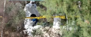 Tiroteo deja cinco muertos en San Vicente y las Granadinas