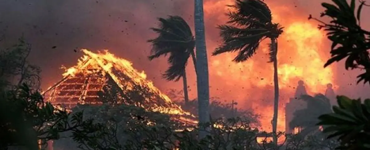 Reportan 53 fallecidos por incendios forestales en Hawái
