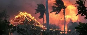 Reportan 53 fallecidos por incendios forestales en Hawái