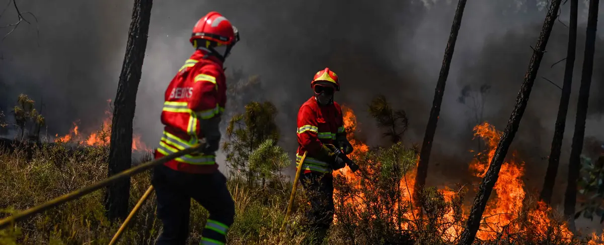 Incendios forestales dejan 7 mil hectáreas de bosques destruidos en Portugal