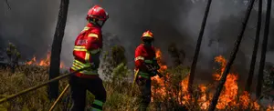 Incendios forestales dejan 7 mil hectáreas de bosques destruidos en Portugal