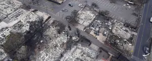 Viral: devastadoras imágenes tras incendios forestales en Hawái