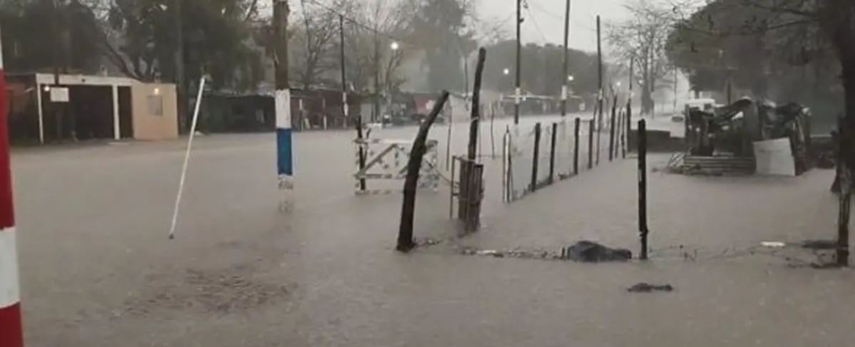 Más de mil familias afectadas por las inundaciones en La Plata, Argentina
