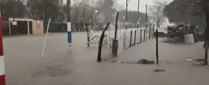 Más de mil familias afectadas por las inundaciones en La Plata, Argentina