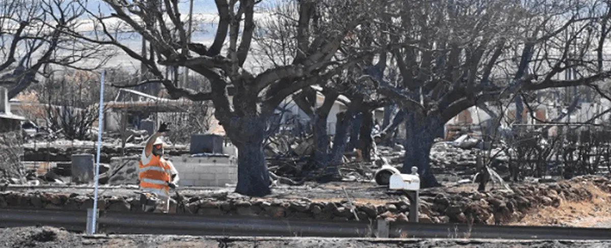 Elevan a 115 los muertos por incendio en Hawái, EE.UU.