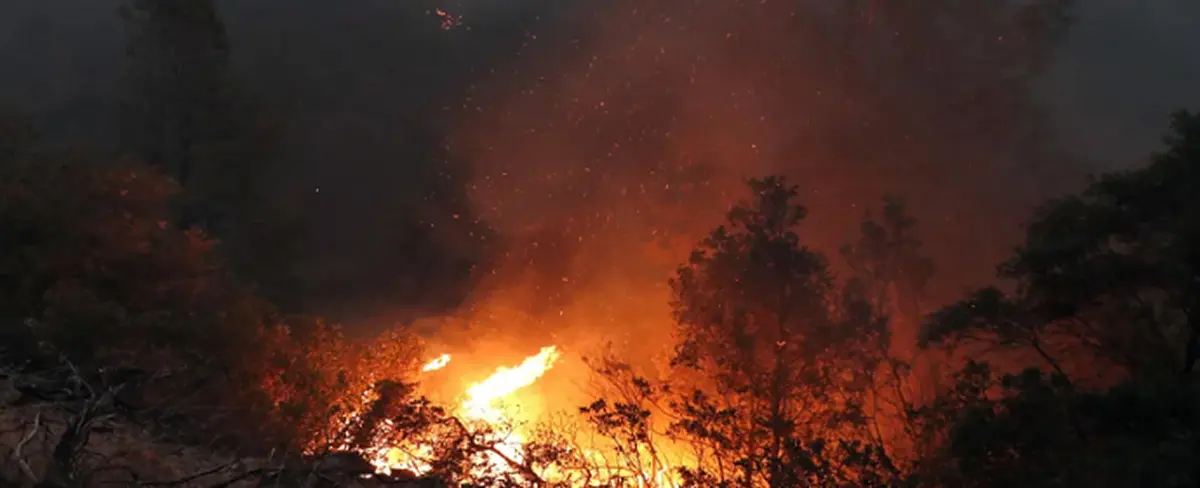 Declaran emergencia ante incendios en Kelowna, Canadá