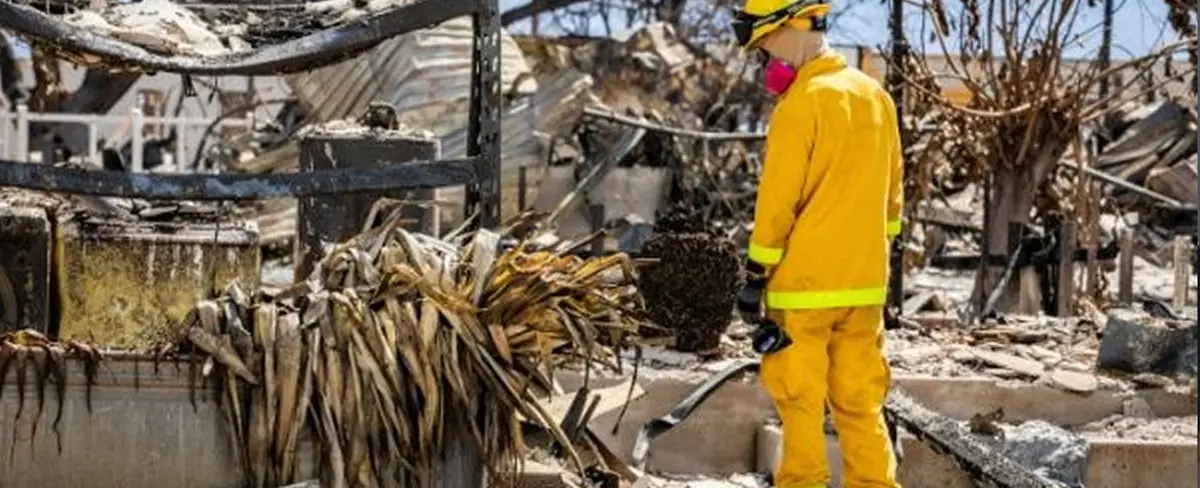 Suman 111 muertos por el incendio forestal en la isla de Maui, Hawái