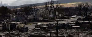 Renuncia director de gestión de emergencias de Maui, Hawái