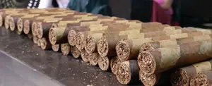 Mujeres ocupan el 60% en la producción de tabaco de Jalapa