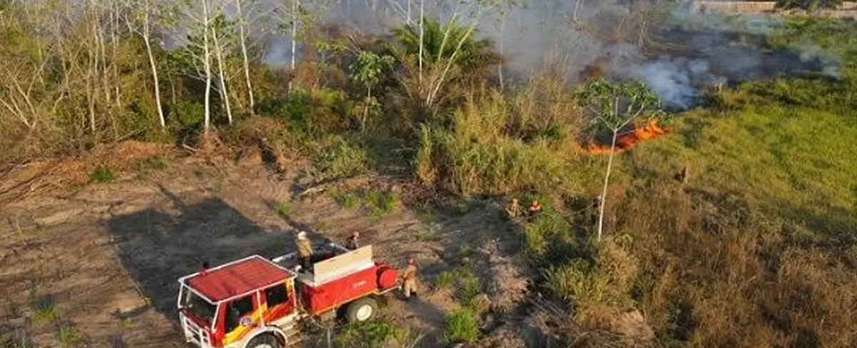 Brasil: Amazonas en alerta por la ola de incendios provocados