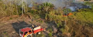 Brasil: Amazonas en alerta por la ola de incendios provocados