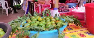Primera Feria Municipal del Jocote en Nueva Segovia