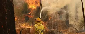 Australia combate decenas de incendios forestales