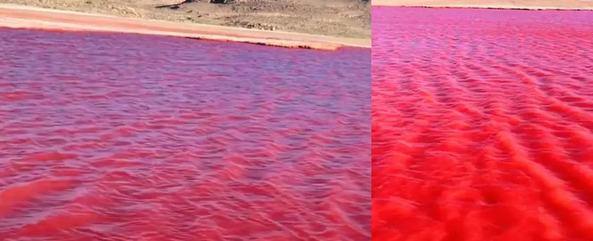 ¿Sangre en el Nilo?: El río se tiñe de rojo