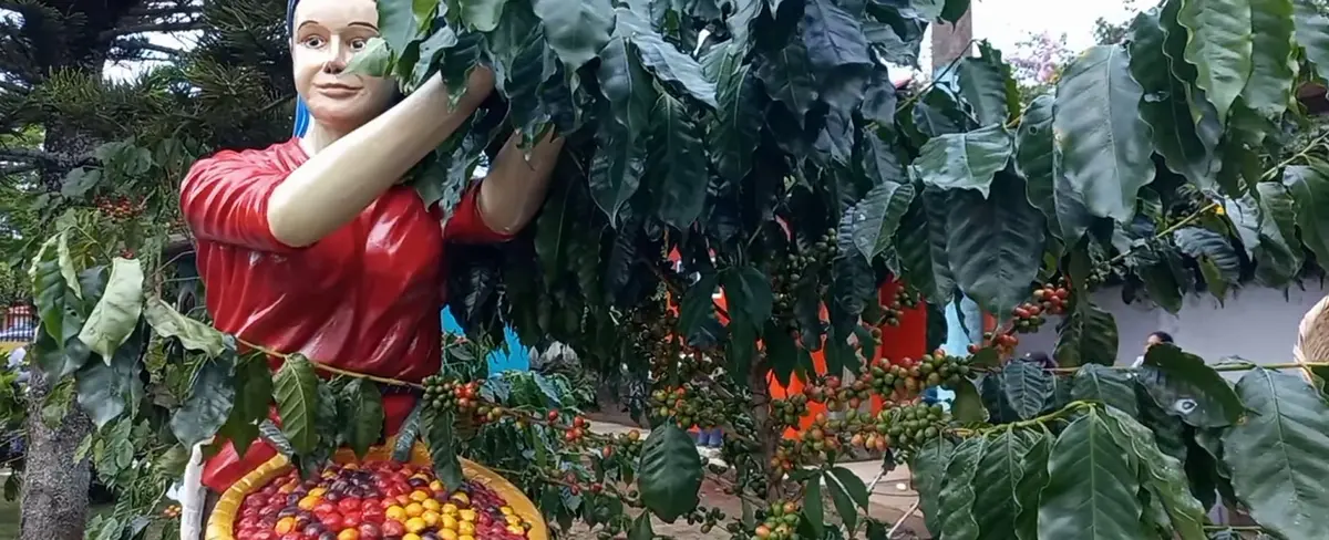 San Marcos ya tiene museo del café, una propuesta diferente para los turistas