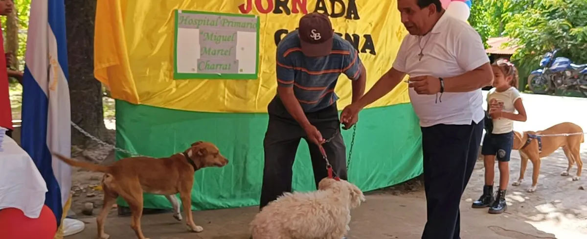 Inicia jornada nacional de vacunación canina en Nueva Segovia