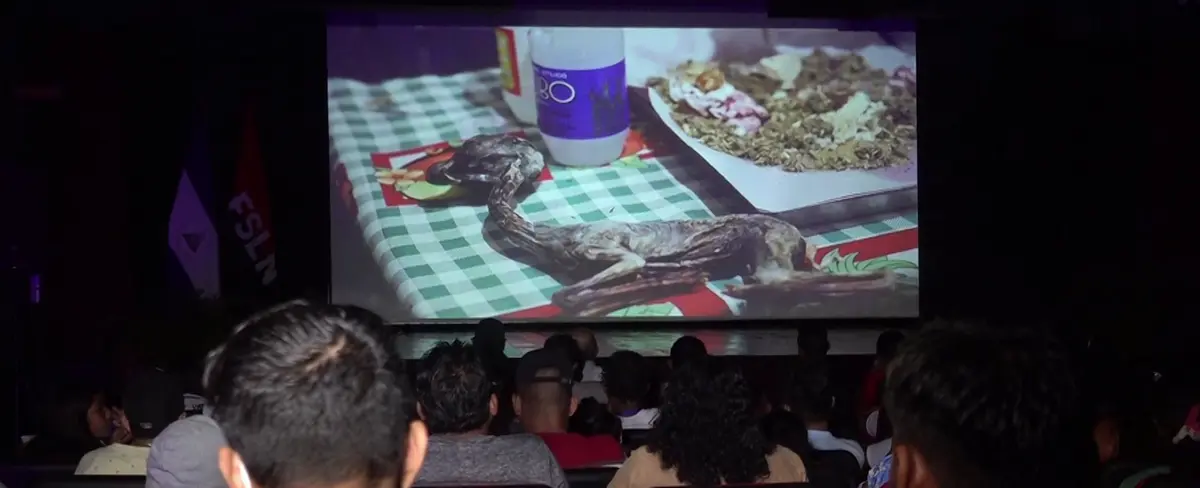Cinemateca realiza proyección de la película Achachilas, de cine boliviano