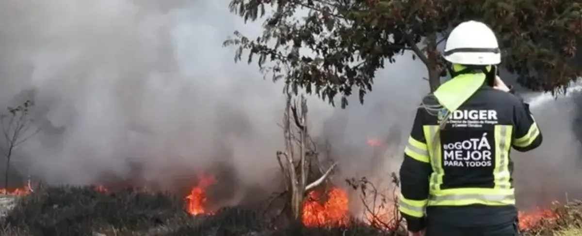 Colombia declara “desastre nacional” tras sofocar 347 incendios forestales