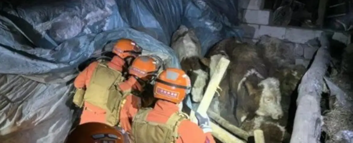 Terremoto de 7,1 grados deja 3 muertos en la región Wushi, de China