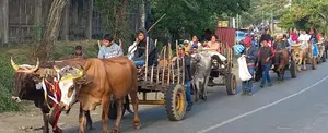 Carretas peregrinas de San Sebastián llegan a Diriamba