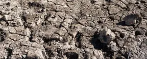 Cataluña entra en emergencia ante la peor sequía del siglo