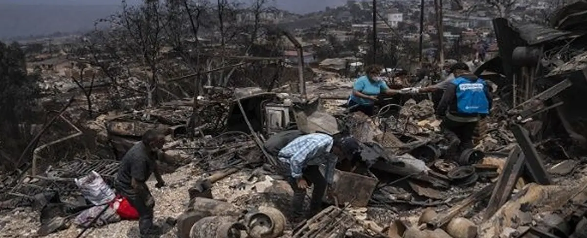 Luto en Chile: 122 personas han perdido la vida por incendios forestales