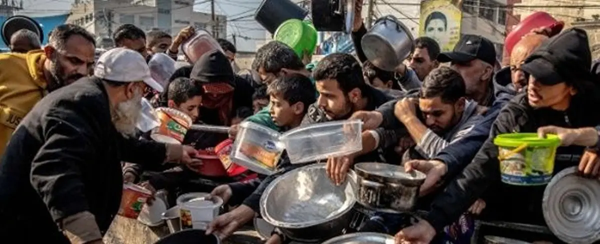 FAO lanza web sobre la inseguridad alimentaria en Gaza
