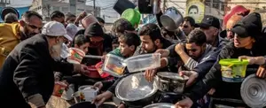 FAO lanza web sobre la inseguridad alimentaria en Gaza