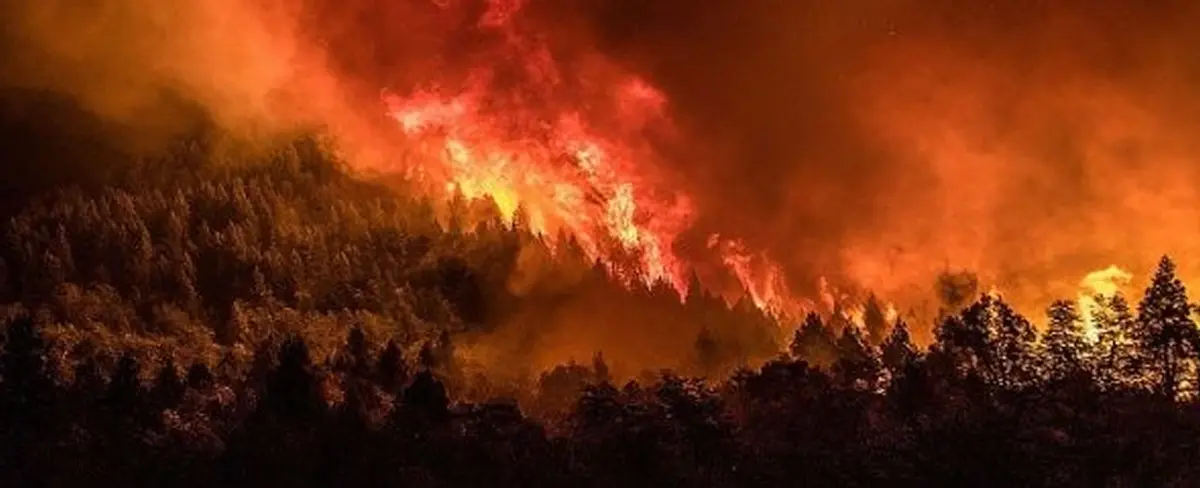Incendio arrasa con 2 mil 500 hectáreas en Chubut, Argentina