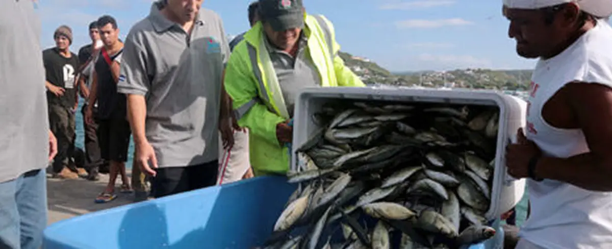 Nicaragua exporta a China 23.5 millones de dólares en productos pesqueros