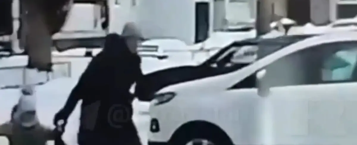 Niño salva a su hermana de un secuestrador en Rusia