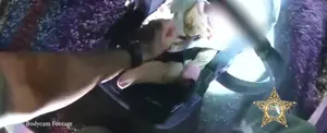 Un policía revive a una bebé después de un accidente
