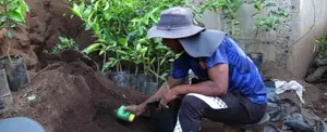 Amplia variedad de árboles y plantas en vivero Campos Azules