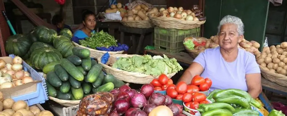 Sistema Nacional de Producción indica buena cosecha de hortalizas