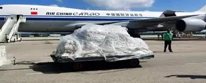 China dona 68 toneladas de arroz a Cuba