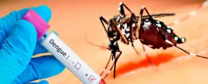 Guatemala declara emergencia sanitaria ante epidemia de dengue