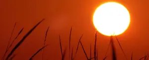 34 personas han perdido la vida por la fuerte ola de calor que azota Bangladesh