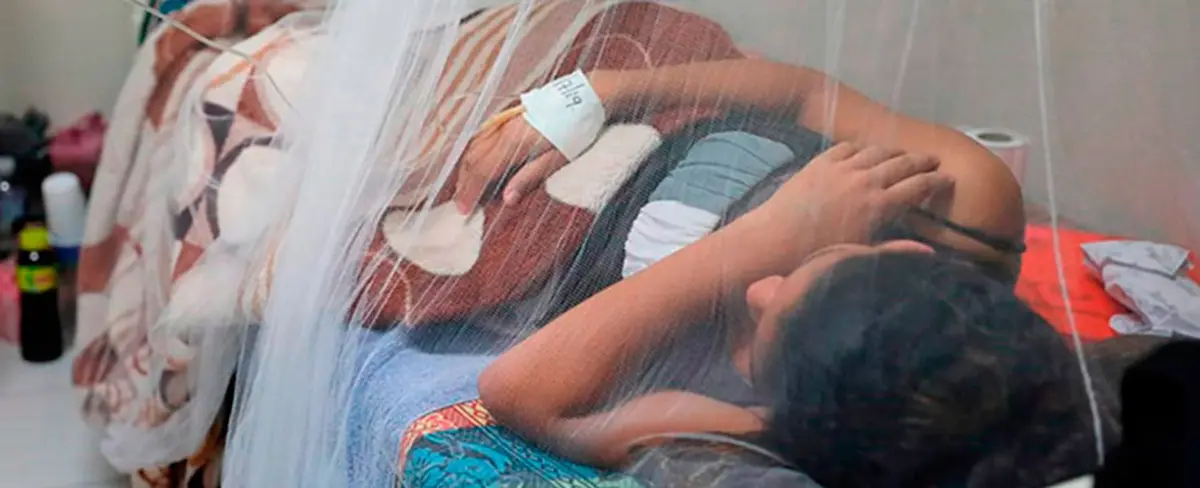 Autoridades sanitarias de Honduras declara "alerta máxima" por brote de dengue