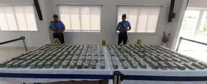 Contundente golpe al narcotráfico: Policía decomisa 1 millón de dólares y drogas