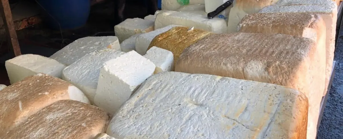 Producción de queso crece 2.7% en Nicaragua
