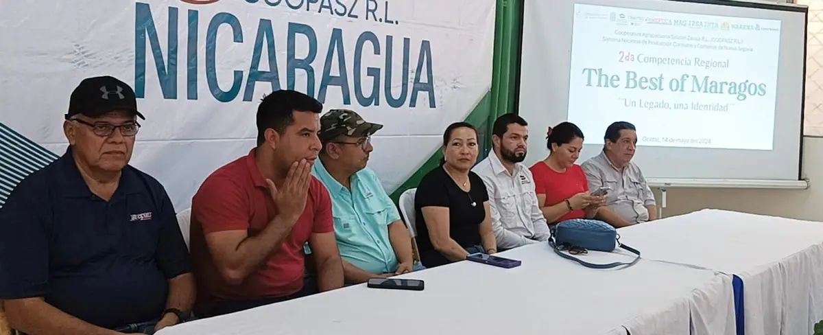 "The Best of Marago", la competencia regional que premia al mejor café en Ocotal