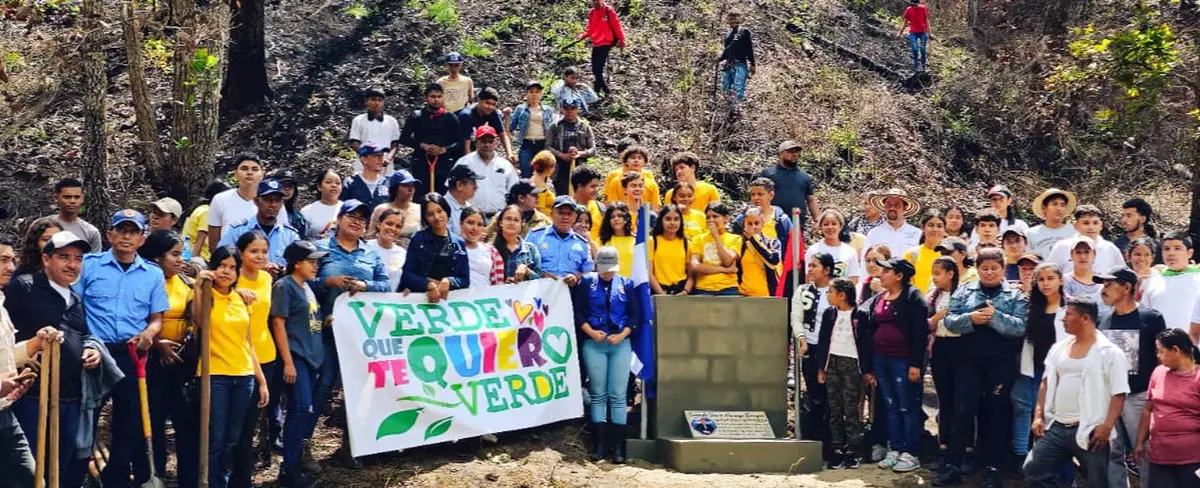 Reforestación en áreas azotadas por incendios forestales en Dipilto