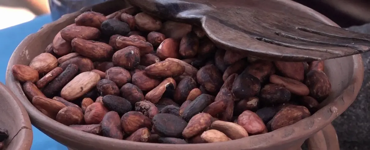 Emprendedores de todo el país participaron en el festival del chocolate en Granada