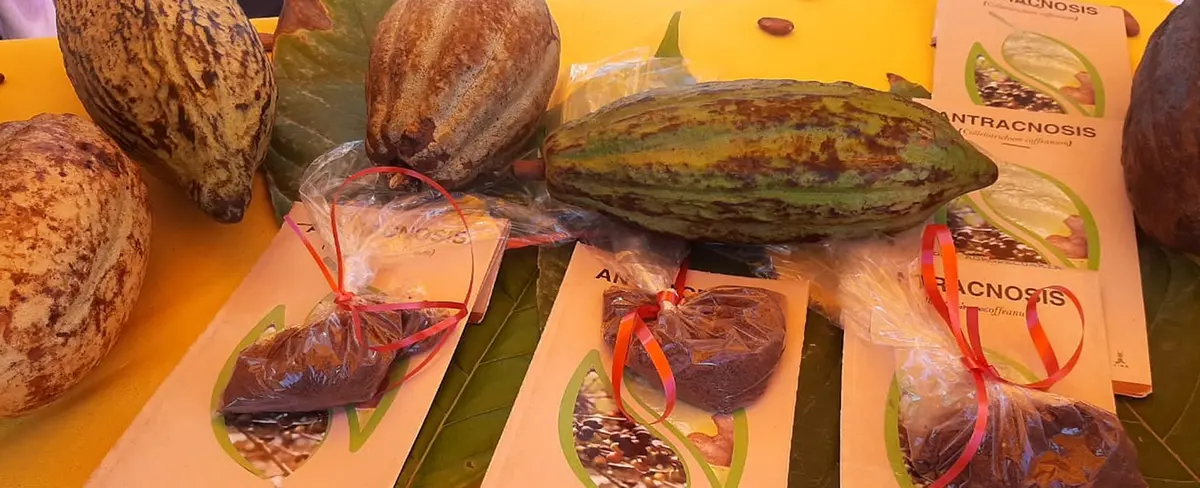 Sistema de Producción Consumo y Comercio impulsa festival del chocolate en León
