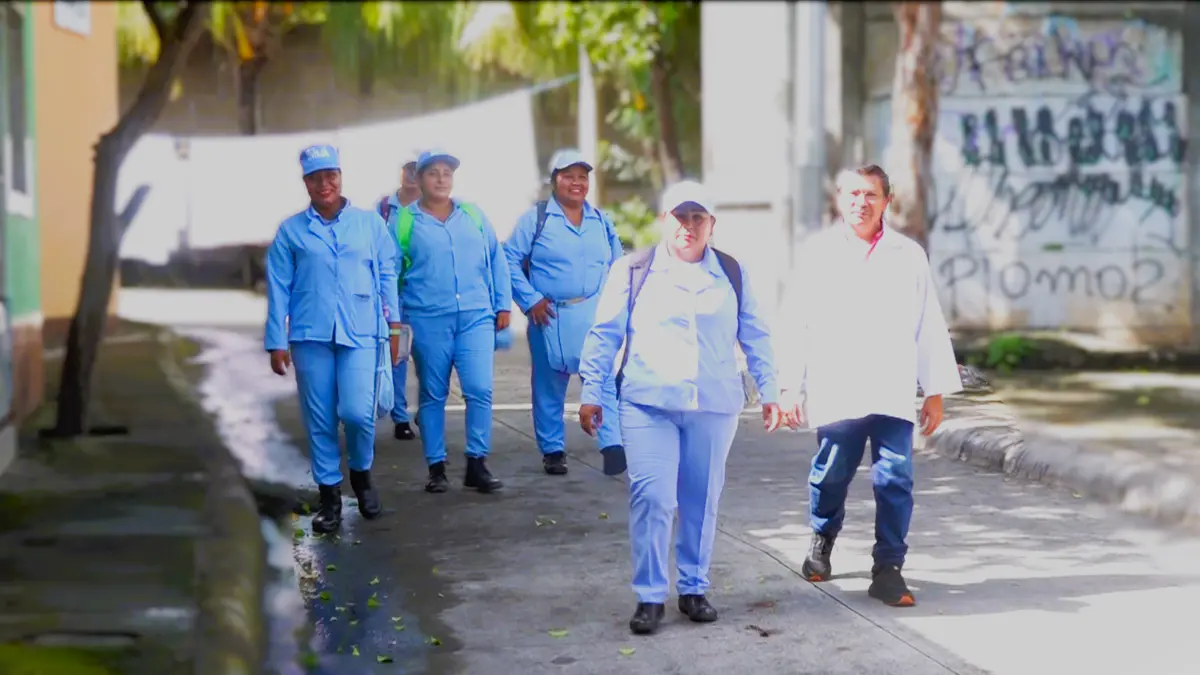 Ministerio de Salud intensifica lucha contra mosquitos
